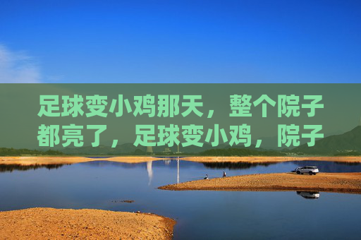 足球变小鸡那天,整个院子都亮了,足球变小鸡,院子亮透