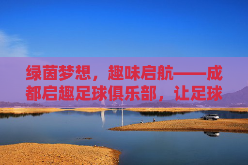 绿茵梦想，趣味启航——成都启趣足球俱乐部，让足球成为童年最美的礼物，绿茵梦想启航，足球是童年最美的礼物