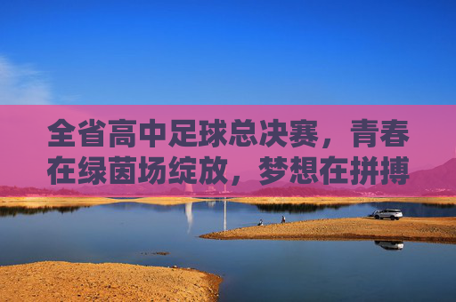 全省高中足球总决赛，青春在绿茵场绽放，梦想在拼搏中闪耀，全省高中足球总决赛，青春绽放，梦想闪耀
