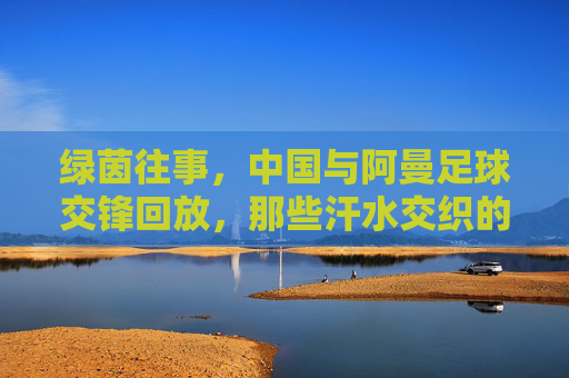 绿茵往事,中国与阿曼足球交锋回放,那些汗水交织的征程,中国与阿曼足球交锋回放,绿茵往事与汗水征程