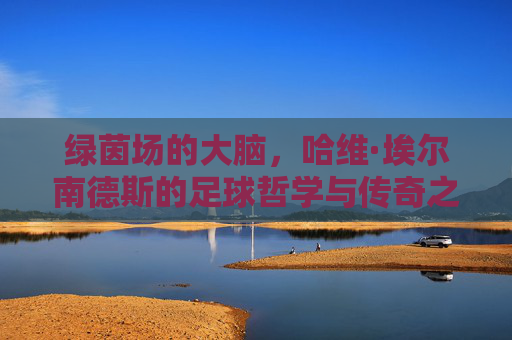 绿茵场的大脑，哈维·埃尔南德斯的足球哲学与传奇之路，绿茵场的大脑，哈维的足球哲学与传奇之路