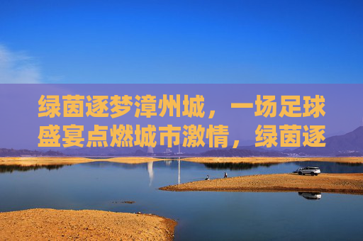 绿茵逐梦漳州城,一场足球盛宴点燃城市激情,绿茵逐梦,盛宴燃漳