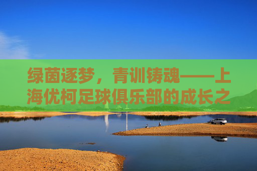 绿茵逐梦，青训铸魂——上海优柯足球俱乐部的成长之路，绿茵逐梦，青训铸魂——上海优柯足球俱乐部的成长之路