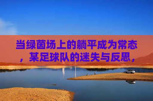 当绿茵场上的躺平成为常态,某足球队的迷失与反思,绿茵场躺平常态化,足球队的迷失与反思