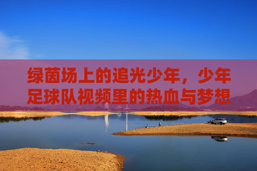 绿茵场上的追光少年，少年足球队视频里的热血与梦想，绿茵追光，少年足球队的热血与梦想