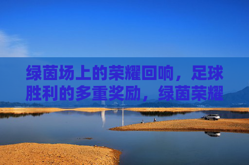绿茵场上的荣耀回响，足球胜利的多重奖励，绿茵荣耀回响，足球胜利的多重奖励
