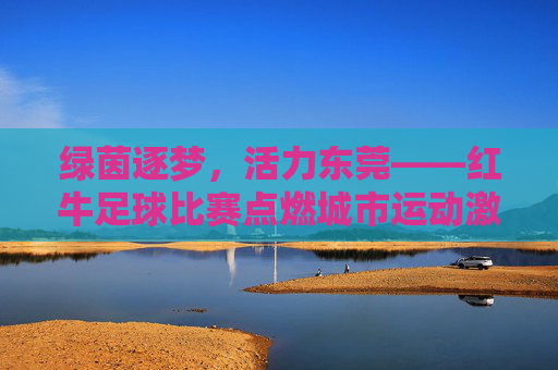 绿茵逐梦,活力东莞——红牛足球比赛点燃城市运动激情,绿茵逐梦,红牛足球点燃东莞活力