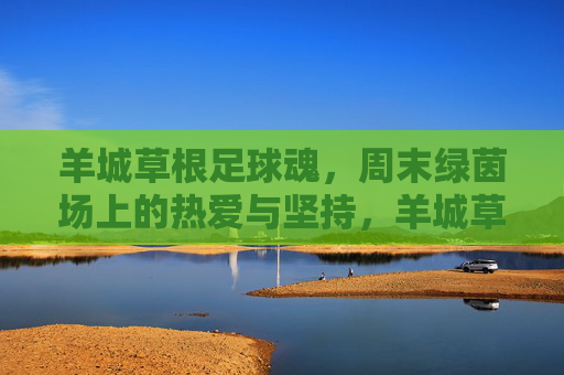 羊城草根足球魂，周末绿茵场上的热爱与坚持，羊城草根绿茵魂，周末热爱与坚持