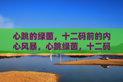 心跳的绿茵,十二码前的内心风暴,心跳绿茵,十二码内心风暴