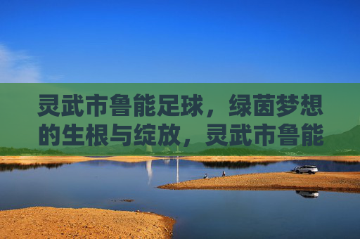 灵武市鲁能足球，绿茵梦想的生根与绽放，灵武市鲁能足球，绿茵梦想的生根与绽放