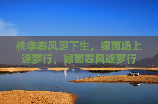 桃李春风足下生，绿茵场上逐梦行，绿茵春风逐梦行