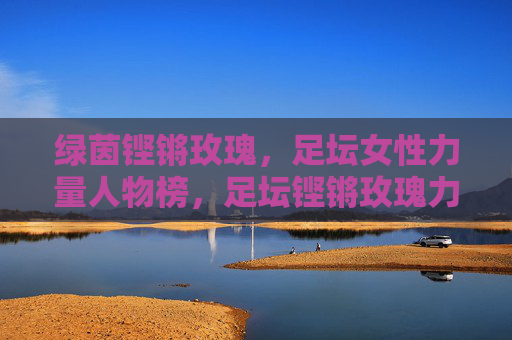 绿茵铿锵玫瑰,足坛女性力量人物榜,足坛铿锵玫瑰力量人物榜