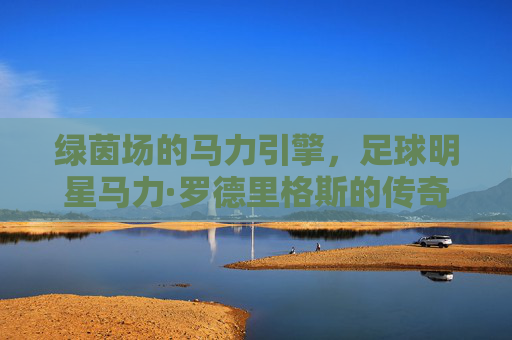绿茵场的马力引擎,足球明星马力·罗德里格斯的传奇轨迹
