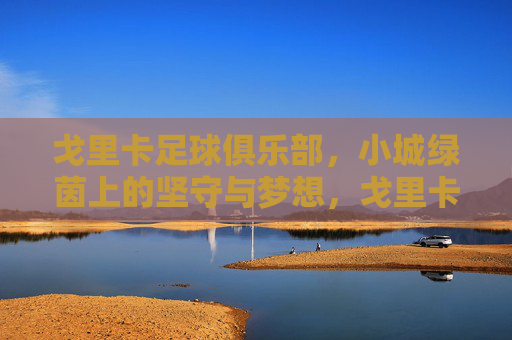 戈里卡足球俱乐部,小城绿茵上的坚守与梦想,戈里卡,小城绿茵上的坚守与梦想