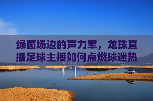 绿茵场边的声力军,龙珠直播足球主播如何点燃球迷热情?龙珠足球主播,绿茵场边的声力军,点燃球迷热情