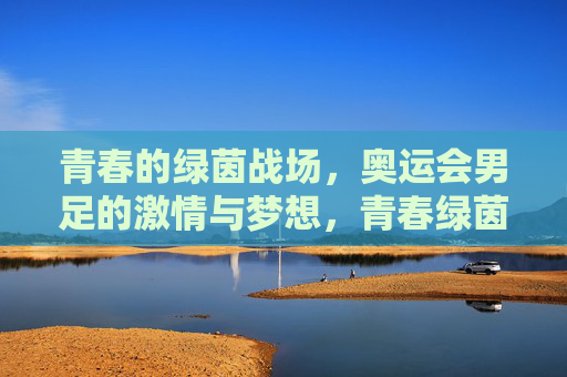 青春的绿茵战场，奥运会男足的激情与梦想，青春绿茵场，奥运男足的激情与梦想