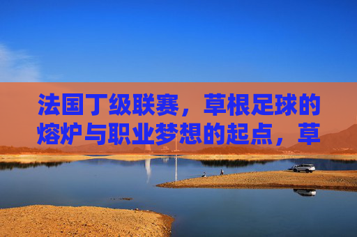 法国丁级联赛,草根足球的熔炉与职业梦想的起点,草根熔炉,梦想起点,法国丁级联赛