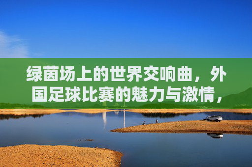 绿茵场上的世界交响曲,外国足球比赛的魅力与激情,绿茵场上的世界交响曲,外国足球的魅力与激情