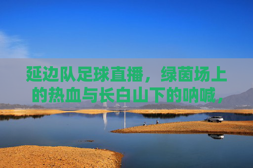 延边队足球直播,绿茵场上的热血与长白山下的呐喊,延边队直播,绿茵热血,长白山呐喊