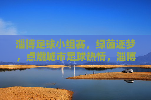 淄博足球小组赛，绿茵逐梦，点燃城市足球热情，淄博足球小组赛，绿茵逐梦燃城