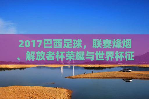 2017巴西足球，联赛烽烟、解放者杯荣耀与世界杯征途，2017巴西足球，联赛烽烟、解放者杯荣耀与世界杯征途