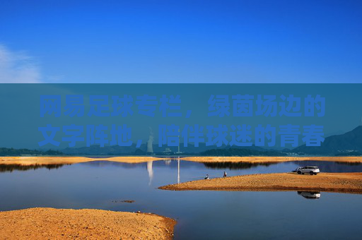 网易足球专栏,绿茵场边的文字阵地,陪伴球迷的青春记忆,网易足球,绿茵场边的青春文字阵地