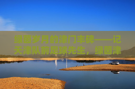 绿茵岁月的津门丰碑——记天津队前足球先生,绿茵津门丰碑——天津队前足球先生
