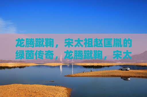 龙腾蹴鞠,宋太祖赵匡胤的绿茵传奇,龙腾蹴鞠,宋太祖赵匡胤的绿茵传奇