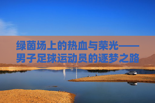 绿茵场上的热血与荣光——男子足球运动员的逐梦之路，绿茵热血荣光——男子足球逐梦之路