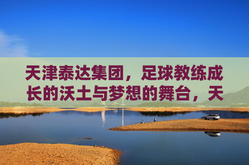 天津泰达集团，足球教练成长的沃土与梦想的舞台，天津泰达集团，足球教练成长的沃土与梦想舞台