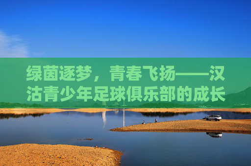 绿茵逐梦，青春飞扬——汉沽青少年足球俱乐部的成长故事，绿茵逐梦，青春飞扬——汉沽青少年足球俱乐部的成长故事