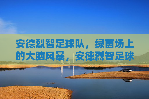 安德烈智足球队,绿茵场上的大脑风暴,安德烈智足球队,绿茵大脑风暴