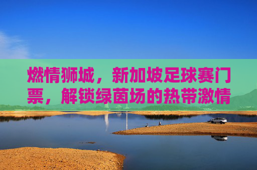 燃情狮城,新加坡足球赛门票,解锁绿茵场的热带激情,狮城足球赛门票,燃情绿茵热带激情