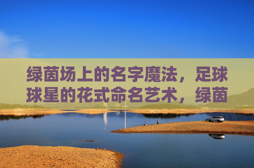 绿茵场上的名字魔法,足球球星的花式命名艺术,绿茵命名魔法,球星花式命名艺术