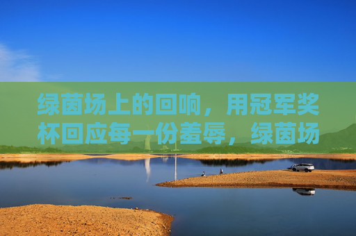 绿茵场上的回响，用冠军奖杯回应每一份羞辱，绿茵场回响，冠军奖杯回应每一份羞辱