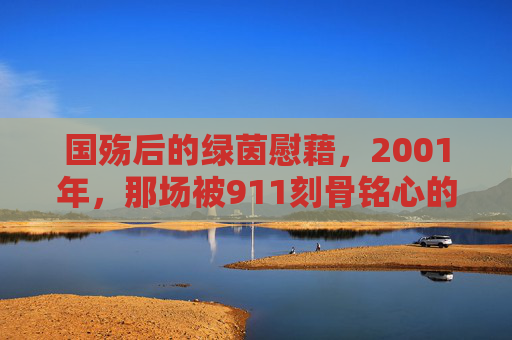 国殇后的绿茵慰藉,2001年,那场被911刻骨铭心的足球赛,911国殇后的绿茵慰藉,2001年那场刻骨铭心的足球赛