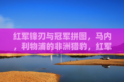 红军锋刃与冠军拼图,马内,利物浦的非洲猎豹,红军锋刃马内,利物浦的非洲猎豹与冠军拼图