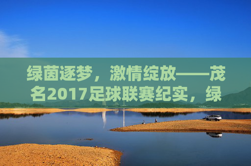 绿茵逐梦,激情绽放——茂名2017足球联赛纪实,绿茵逐梦,激情绽放——茂名2017足球联赛纪实