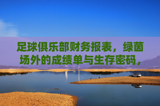 足球俱乐部财务报表,绿茵场外的成绩单与生存密码,足球俱乐部财务报表,绿茵场外的成绩单与生存密码