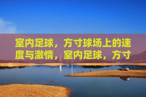 室内足球，方寸球场上的速度与激情，室内足球，方寸球场上的速度与激情