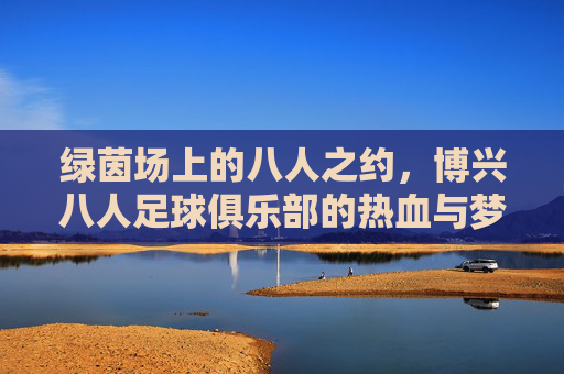 绿茵场上的八人之约,博兴八人足球俱乐部的热血与梦想,博兴八人,绿茵热血与梦想之约