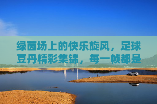 绿茵场上的快乐旋风,足球豆丹精彩集锦,每一帧都是热爱!足球豆丹的快乐旋风,绿茵场热爱集锦