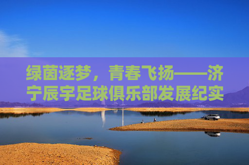 绿茵逐梦,青春飞扬——济宁辰宇足球俱乐部发展纪实,济宁辰宇足球俱乐部,绿茵逐梦发展纪实