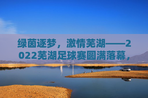 绿茵逐梦，激情芜湖——2022芜湖足球赛圆满落幕，绿茵逐梦，激情芜湖——2022芜湖足球赛圆满落幕
