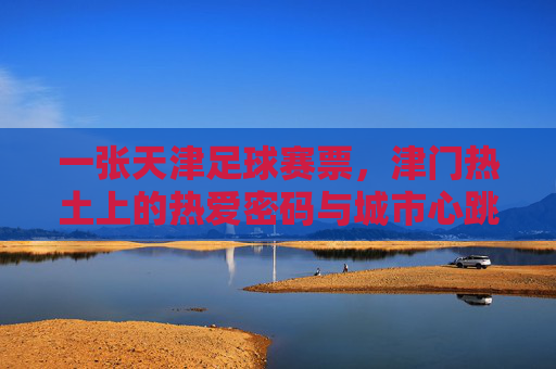 一张天津足球赛票,津门热土上的热爱密码与城市心跳,一张天津足球赛票,津门热土的热爱密码与城市心跳
