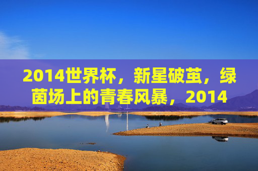 2014世界杯，新星破茧，绿茵场上的青春风暴，2014世界杯，新星破茧，青春风暴