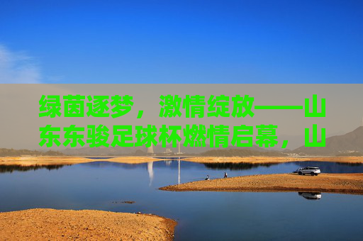 绿茵逐梦，激情绽放——山东东骏足球杯燃情启幕，山东东骏足球杯燃情启幕