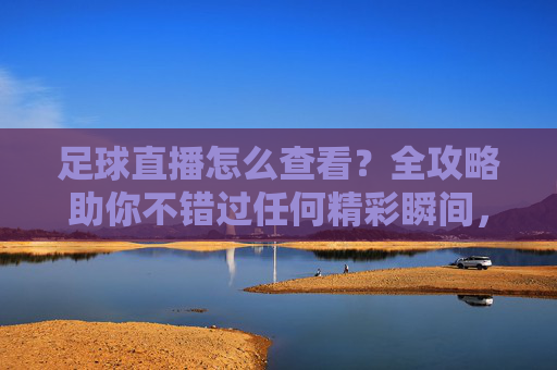 足球直播怎么查看？全攻略助你不错过任何精彩瞬间，足球直播查看全攻略，不错过任何精彩瞬间