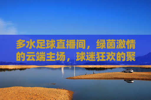 多水足球直播间,绿茵激情的云端主场,球迷狂欢的聚集地,多水足球直播间,云端绿茵激情主场,球迷狂欢聚集地