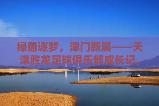 绿茵逐梦,津门新篇——天津胜龙足球俱乐部成长记,天津胜龙,绿茵逐梦津门新篇